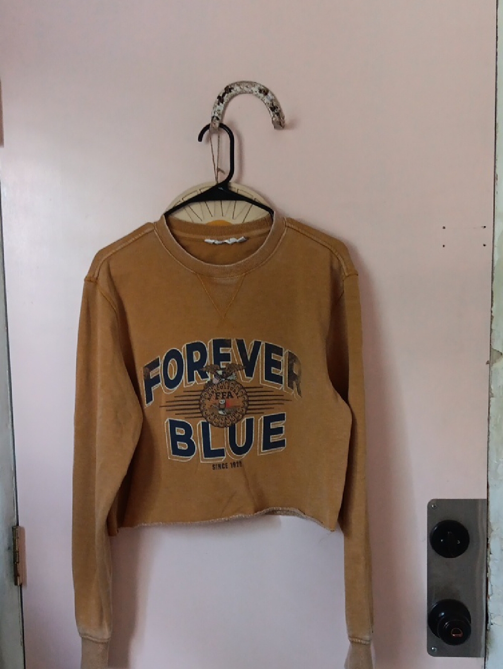 Camp David Cropped Graphic Crewneck Sweatshirt